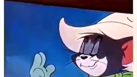 Tom the smooth cat