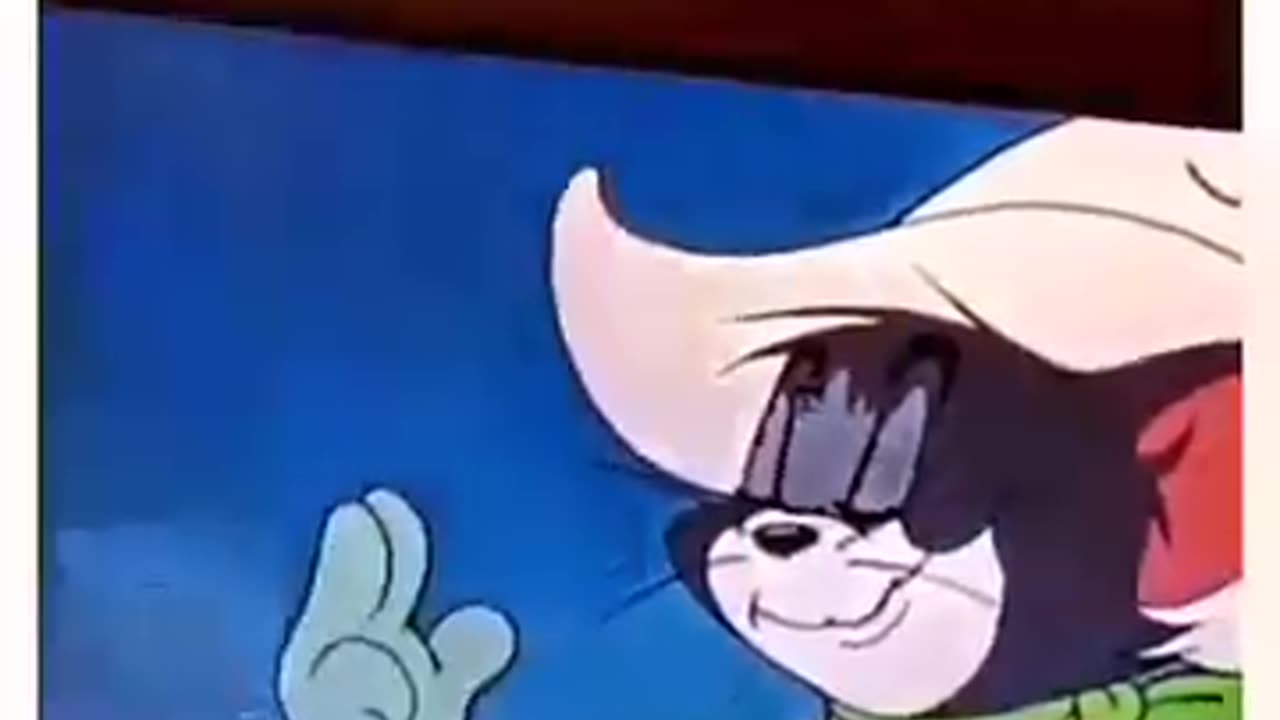 Tom the smooth cat