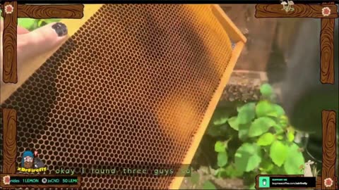 Swarming? Yes Swarming NOW!
