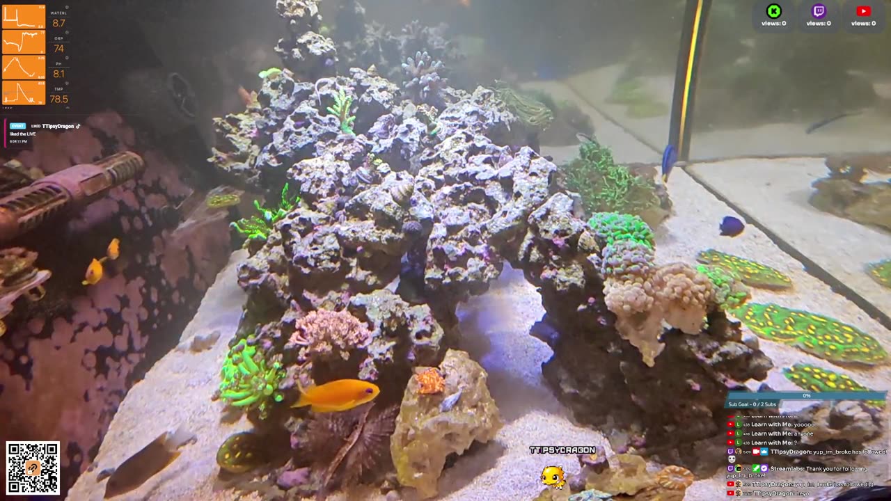 24/7 Real Live Reef Stream