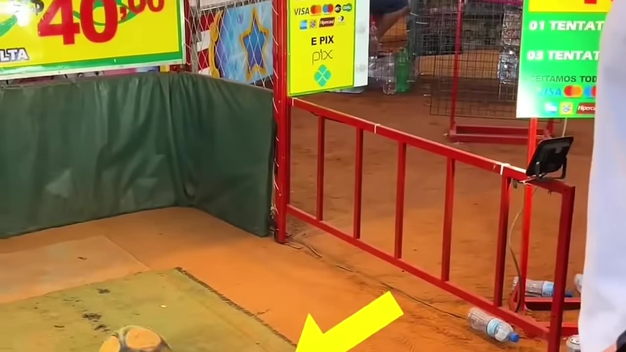 The Last Player Was Just Different