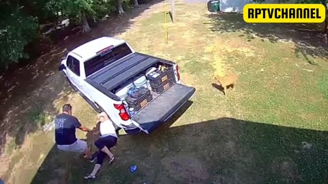 Funny Videos Moments