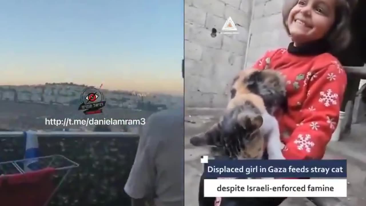 This video sums up the tiny hats ......