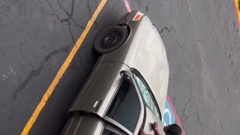 Why Do So Many Females Love Getting on Top of Cars?