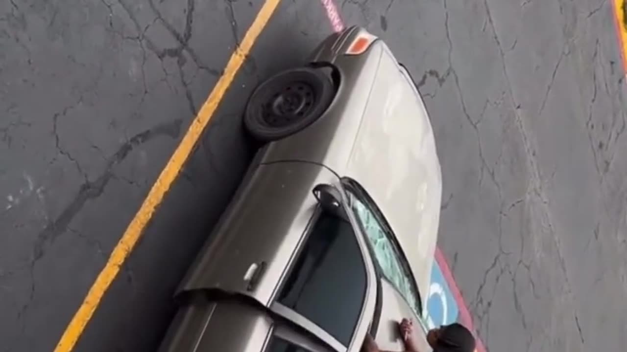 Why Do So Many Females Love Getting on Top of Cars?