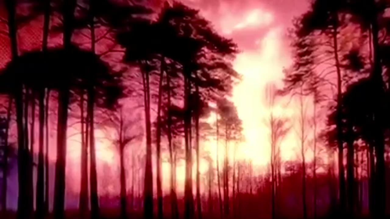 Clip for God: Schau dich um . . .