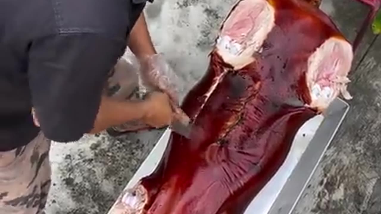 Chris P. Bacon