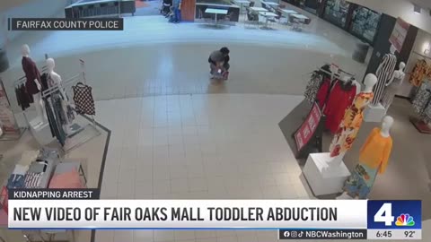 migrant abducting a girI in a mall in Fairfax, Virginia
