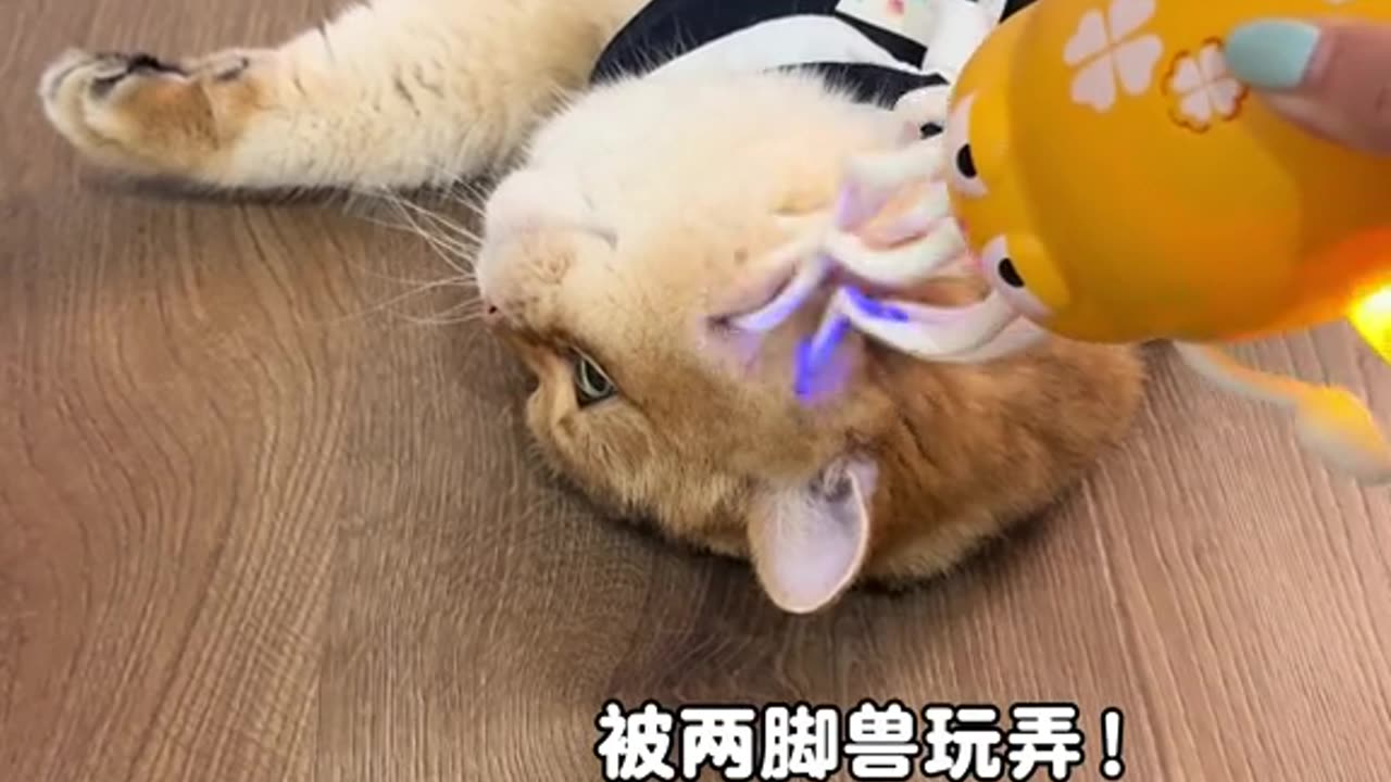 Eh? That's not right?