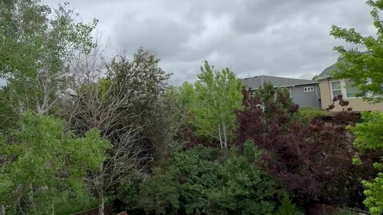 5/25/2025