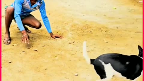 Bangla Funny videos Entertainment video