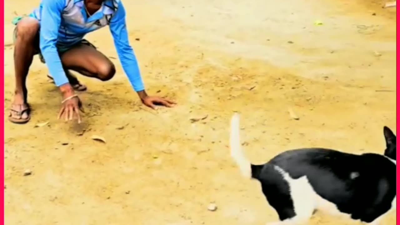 Bangla Funny videos Entertainment video