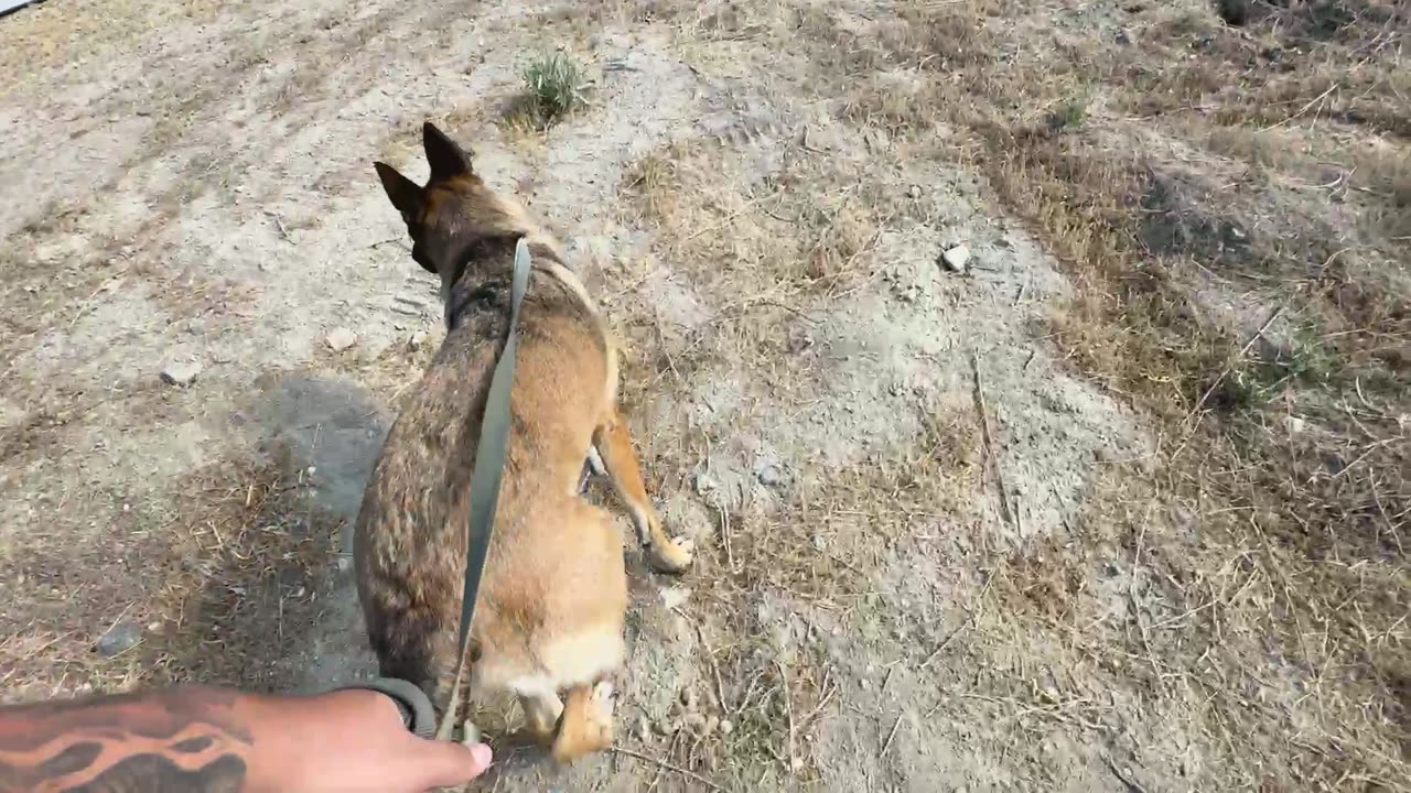 Random Stream IRL