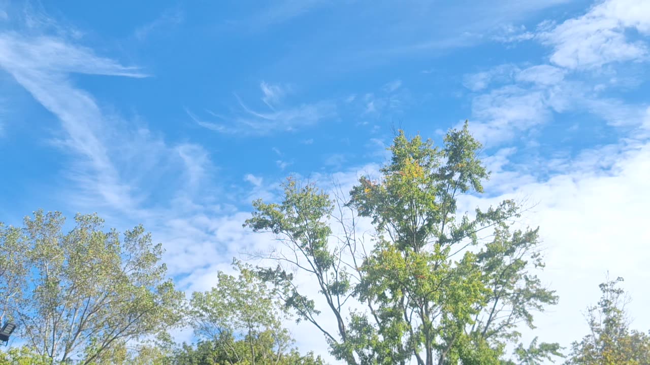 "Clouds" and SEE-trails in the atmosphere