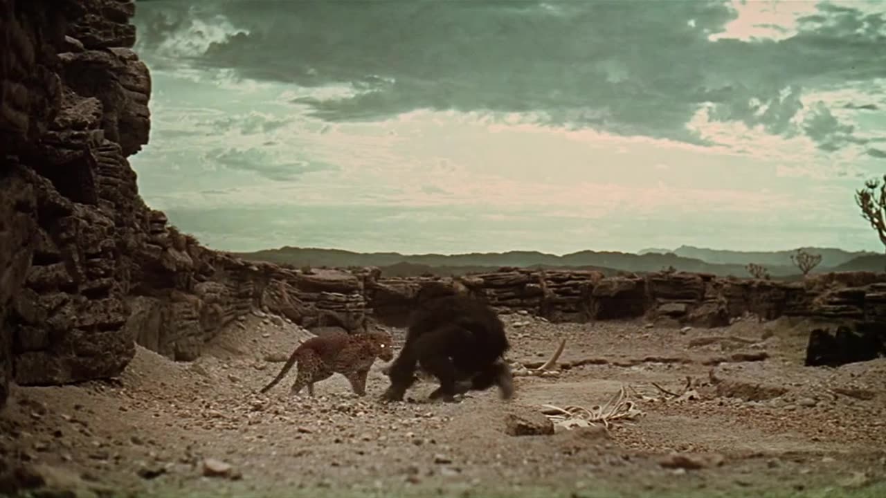 2001 a space Odyssey movie