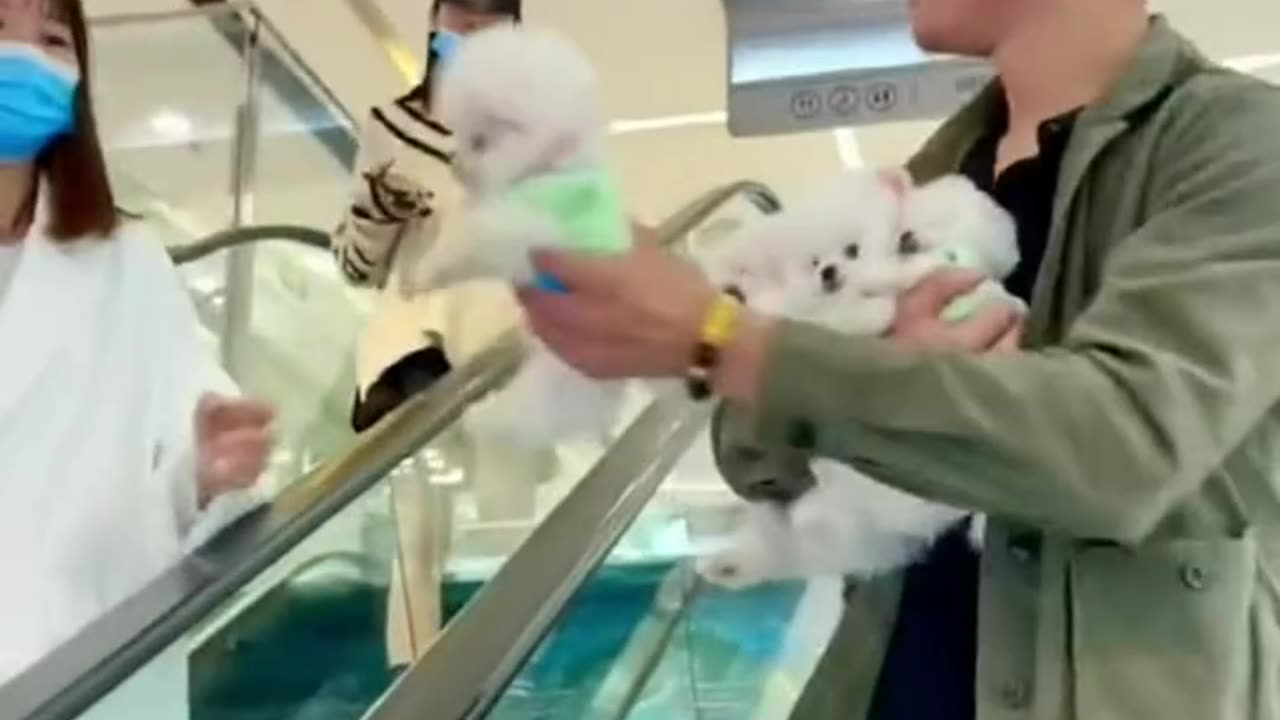 Ummm