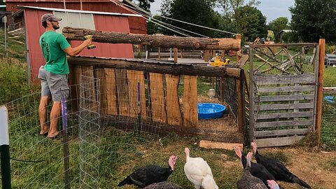 Keeping The TURKEY From ESCAPING! _ Small Projects! // Whitt Acres