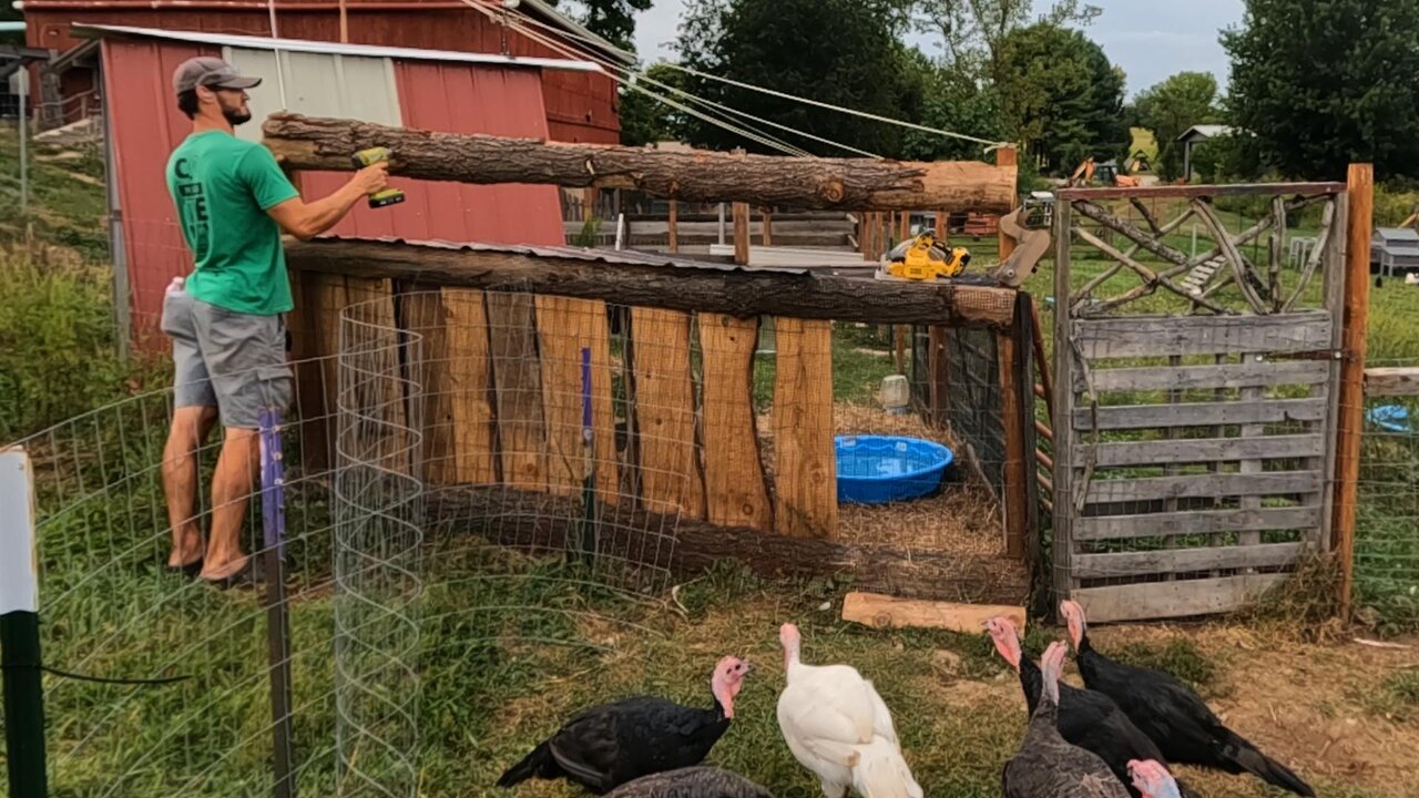 Keeping The TURKEY From ESCAPING! _ Small Projects! // Whitt Acres