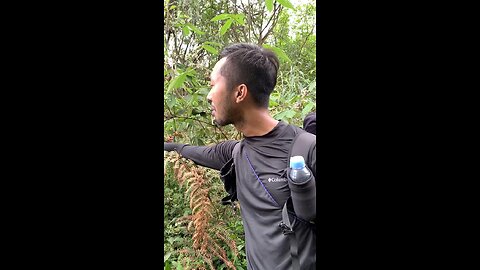 hiking mount Arjuno welirang part 2