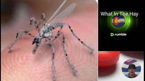 "MOSQUITO VIRUS" Guangdong Chikungunya Outbreak Triggers U.S. Alert