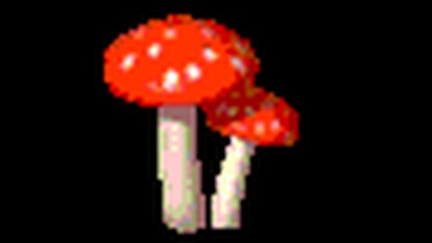 From 2018 ' Ghosts In the MachinE '. Reloaded,, Video Vault!