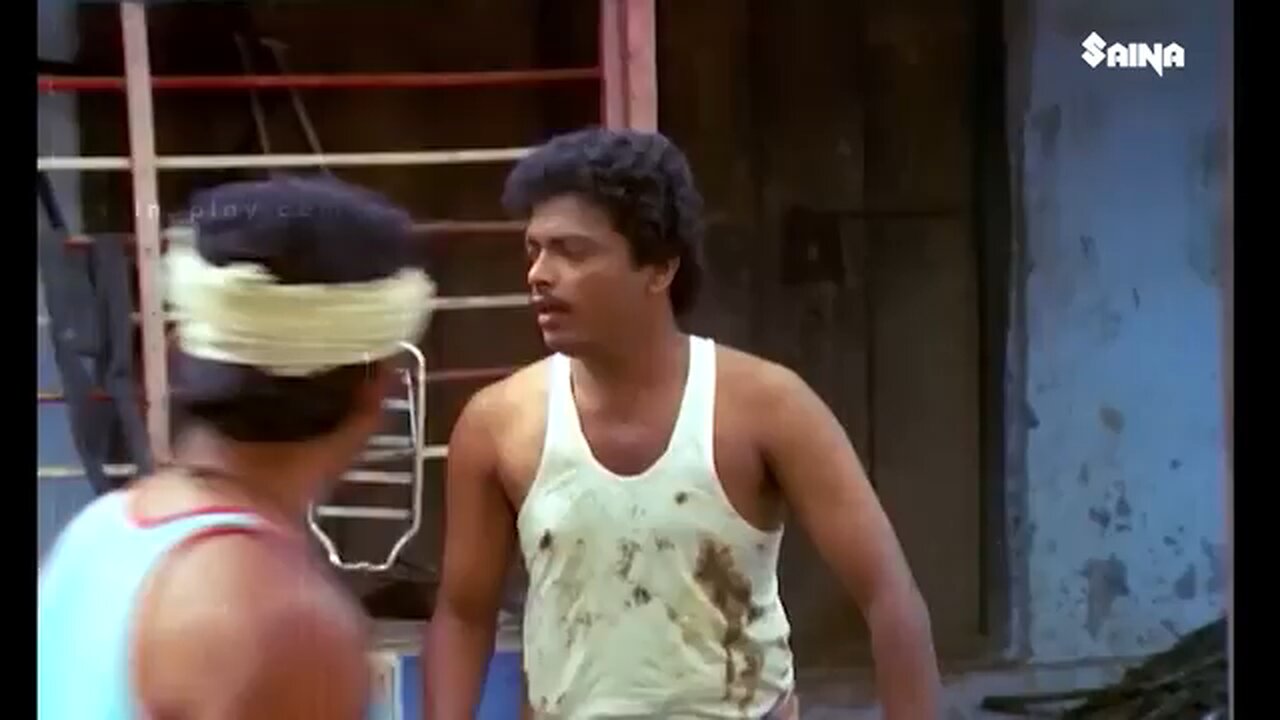 south comedy