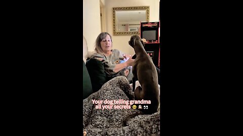Dogs want love