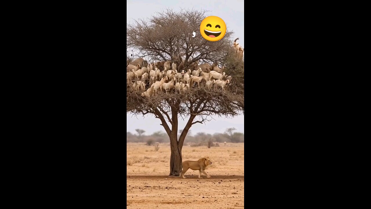 नीचे ने आजा तेरे लाड लडाऊगा