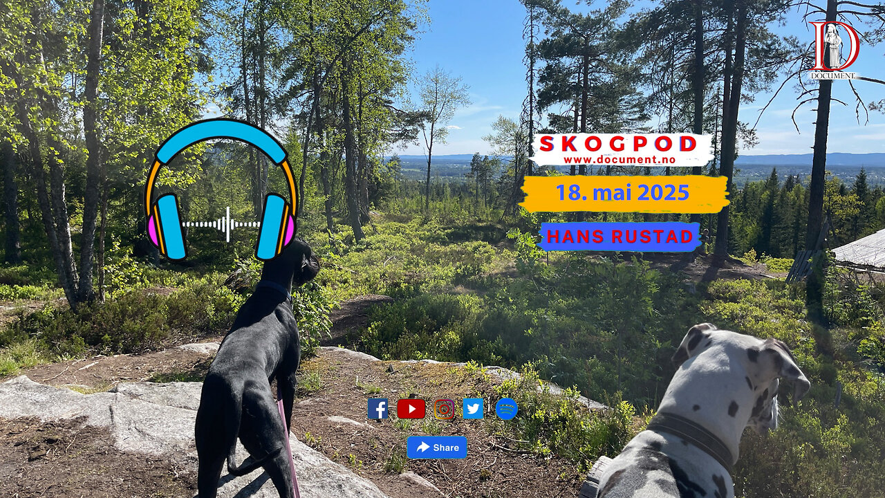 Skogpod 18. mai 2025
