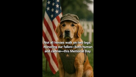 Let us take a moment to remember those that paid the ultimate price for their love of country.