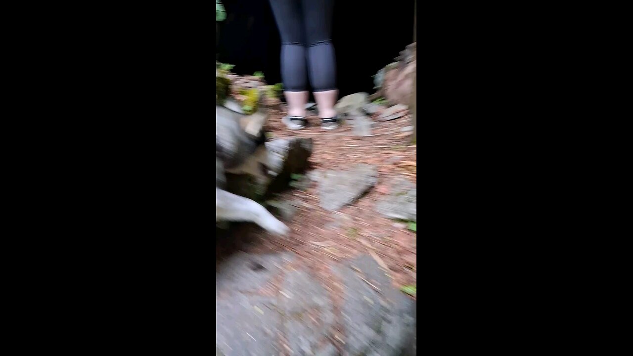 Iron Goat Trail Hike 5/10/25 Part 4/12