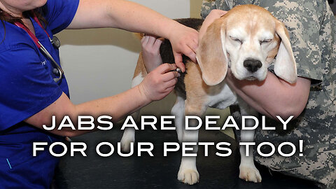 Jabs Are Deadly For Our Pets Too!