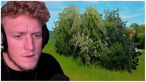 The bushes are the most deadly place in Fortnite...