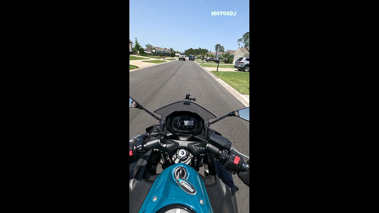 Why Is the Internet Comparing Dog Milk to Cow Milk?! 😳