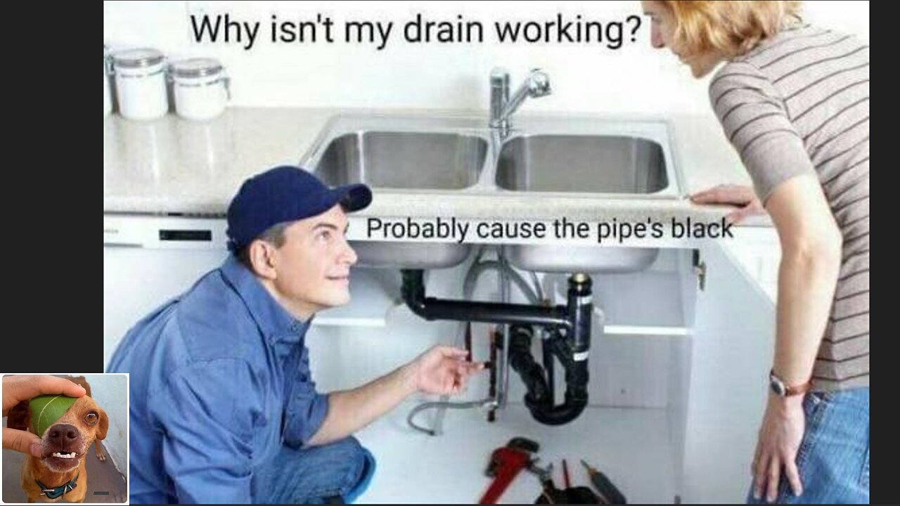 Memes That Will 99.0421% Make You Laugh. (e645)