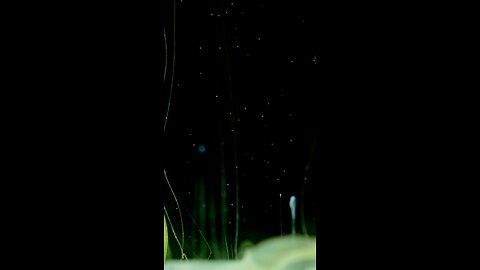 Don Sound - Hearbeats