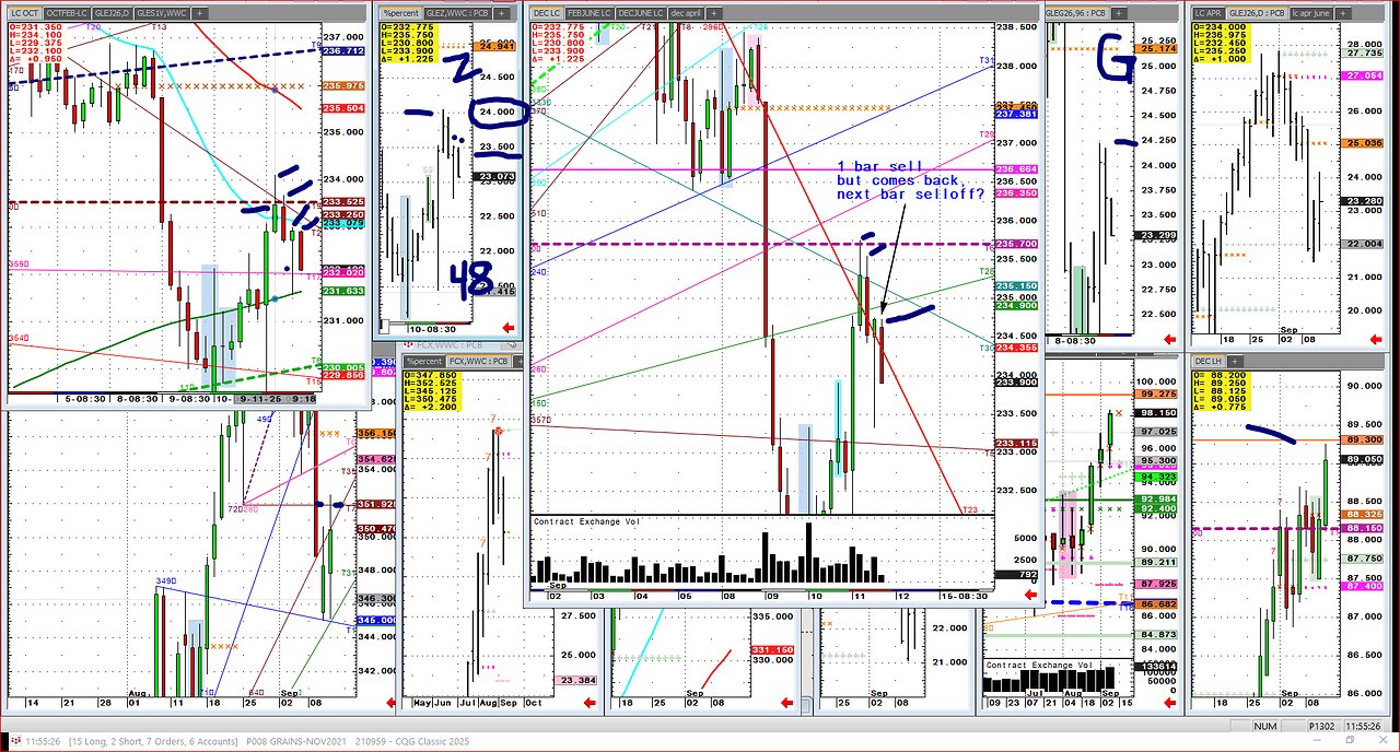 Cattle, 2 days up, then smash lower SEPT12 USDA