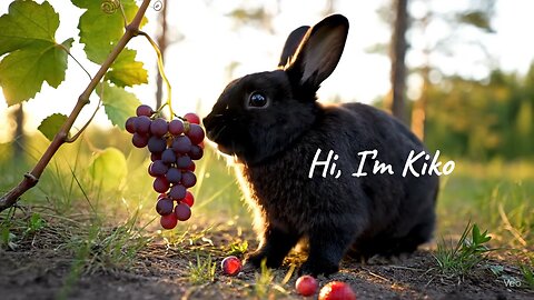 Kiko the AI Bunny 🍇🐰 | Grapes Detected, Snack Engaged!”