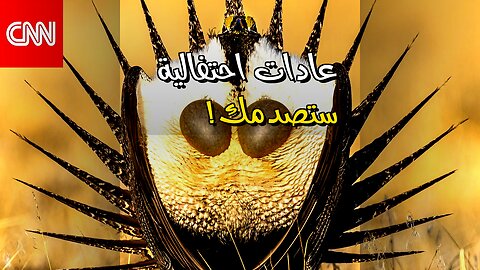 7 عادات احتفالية خطيرة.. هل ستُصدقها؟