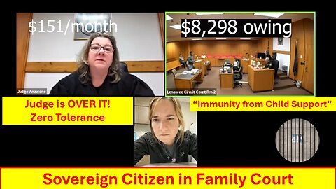 Sovereign Citizen in Family Court- Pro Se-JUDGE ISN'T HAVING IT-watch verdict-It's IMPOSSIBLE to pay