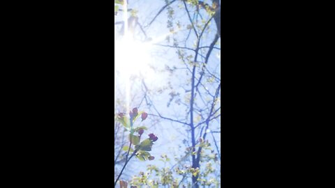 Daily Verse October 31st 2025