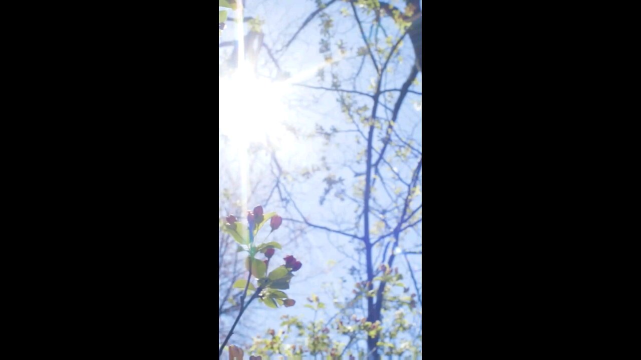 Daily Verse October 31st 2025