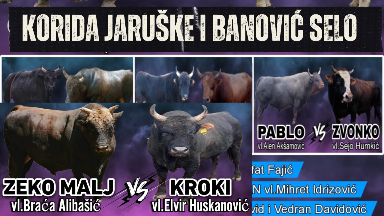 Korida Gornje Jaruške i Banović Selo 2025