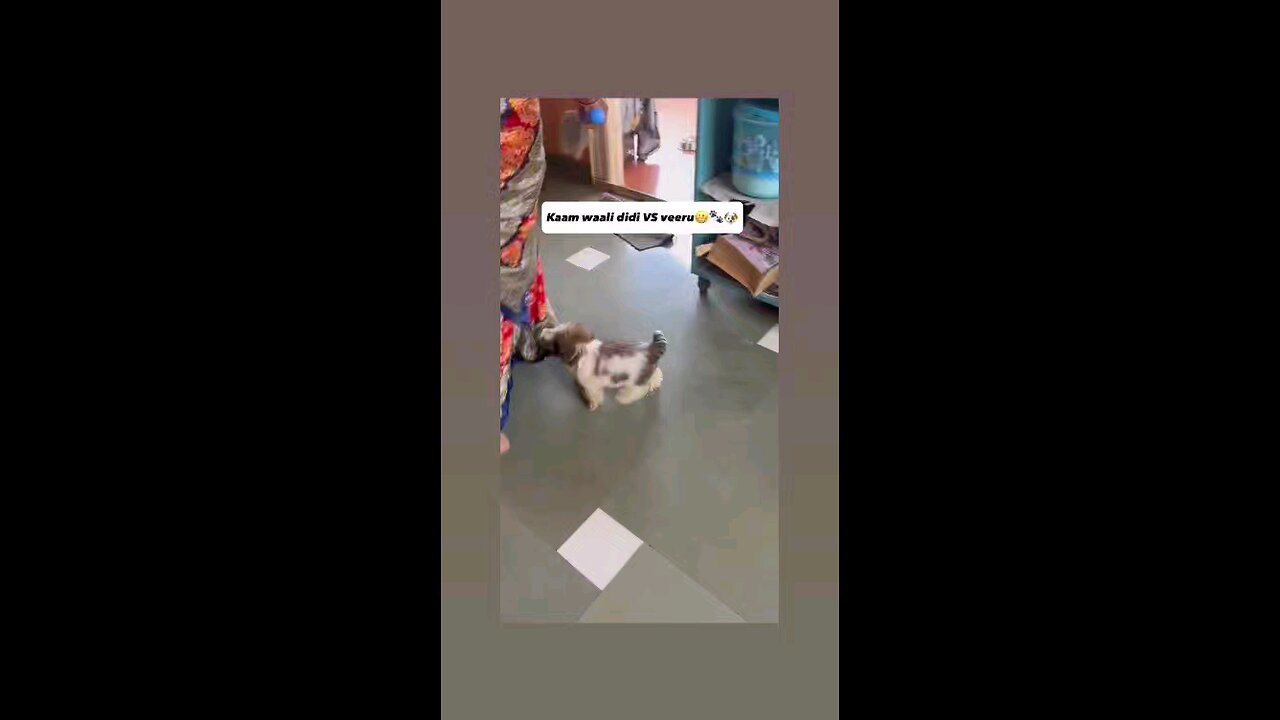 अंटी मत जाओ