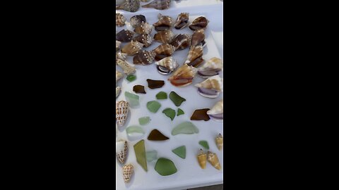 Beach Finds 6/6/2025 | 4K