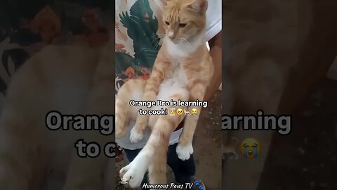 The Funniest 45 Seconds You’ll See Today!