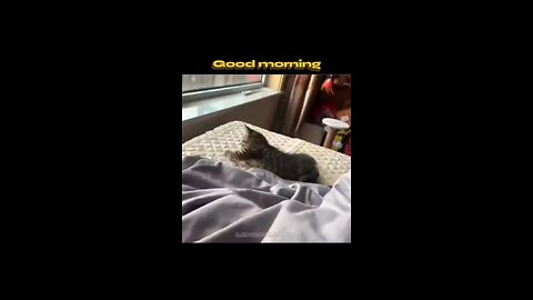 accidentally press the shut down button