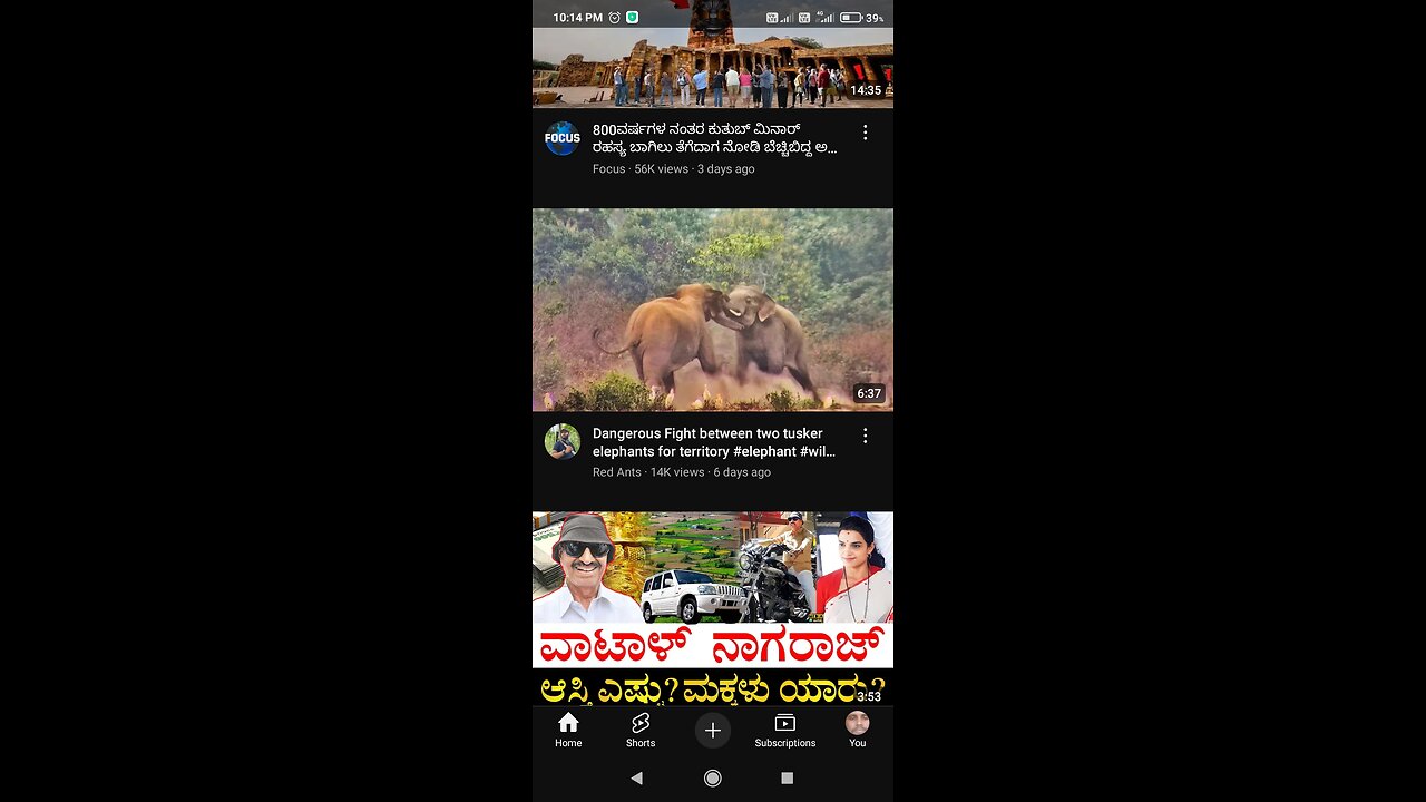 ಎರಡು ಕಾಡಾನೆಗಳ ಬೀಕರ ಕಾಳಗ elephants dangerous fighting in forest