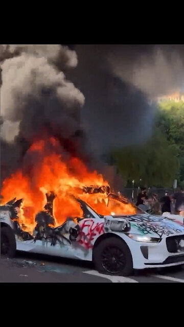 Los Angeles is asking for Marshall Law ask and you shall receive.