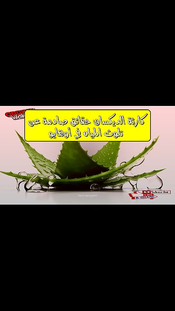 كارثة الديكسان: حقائق صادمة عن تلوث المياه في أوهايو #تلوث_المياه #أوهايو #الديكسان